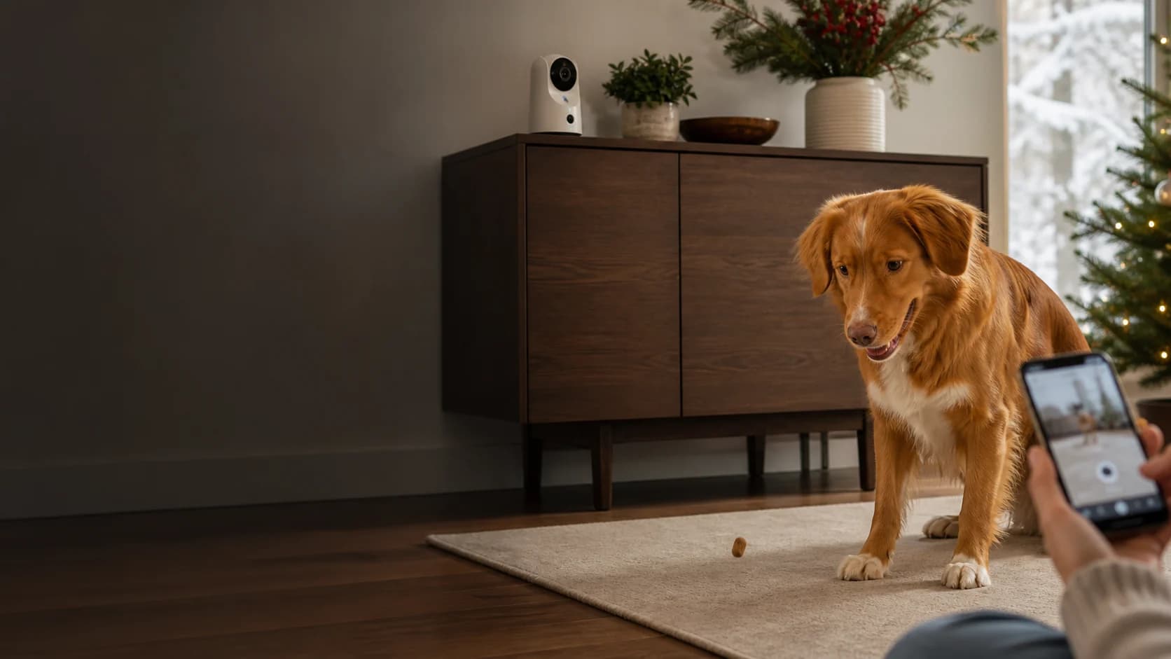 Representative generic pet camera used to check on a dog at home