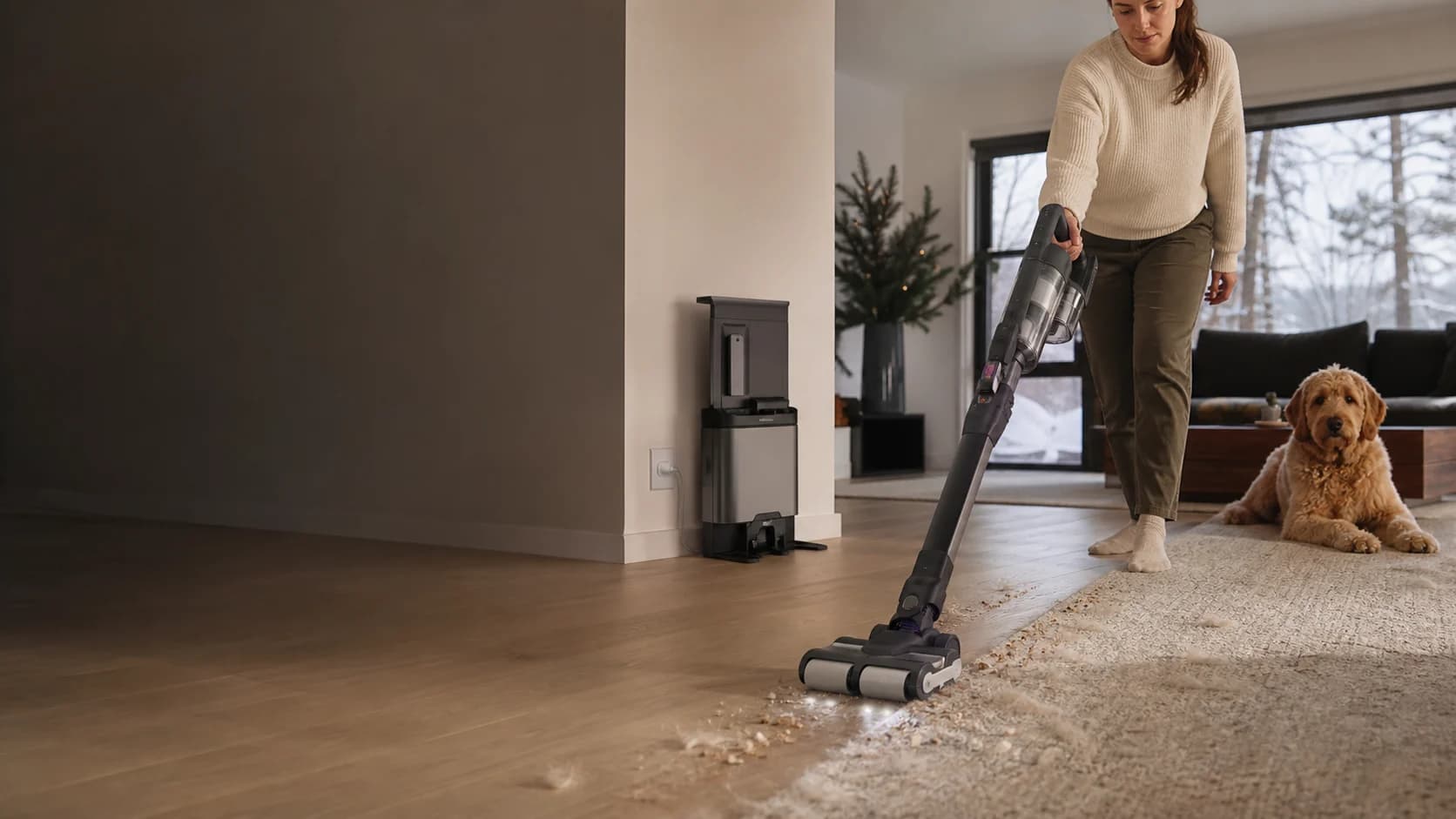 Representative generic cordless vacuum cleaning pet hair from a mixed-floor home